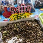 Insekten als Snack auf einem Markt in Thailand