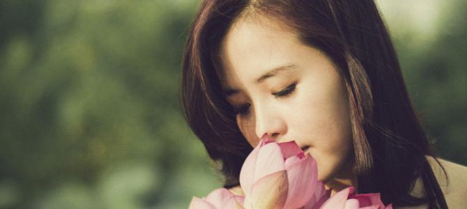 Der Lotus – Blume Buddhas
